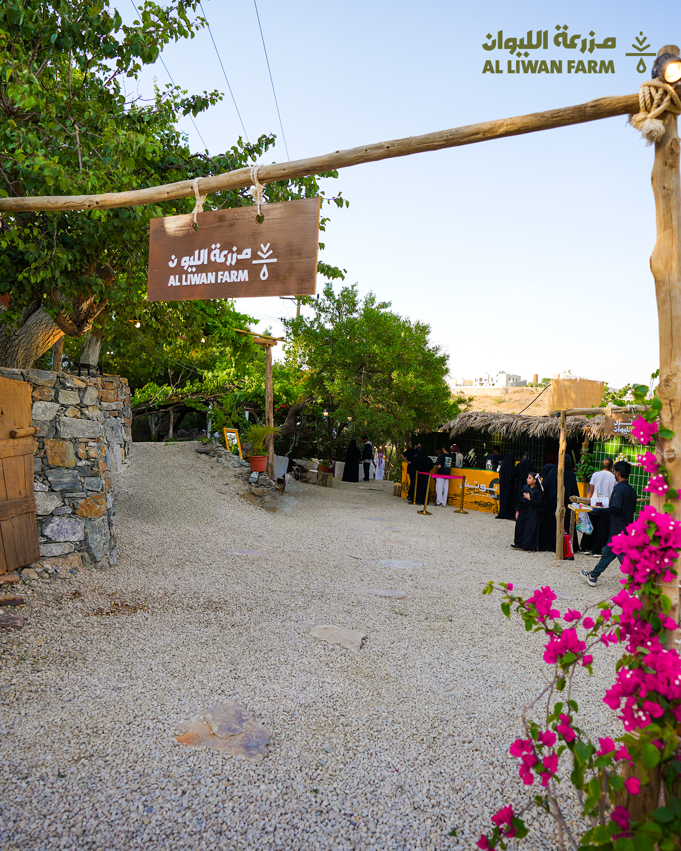 مزرعة الليوان