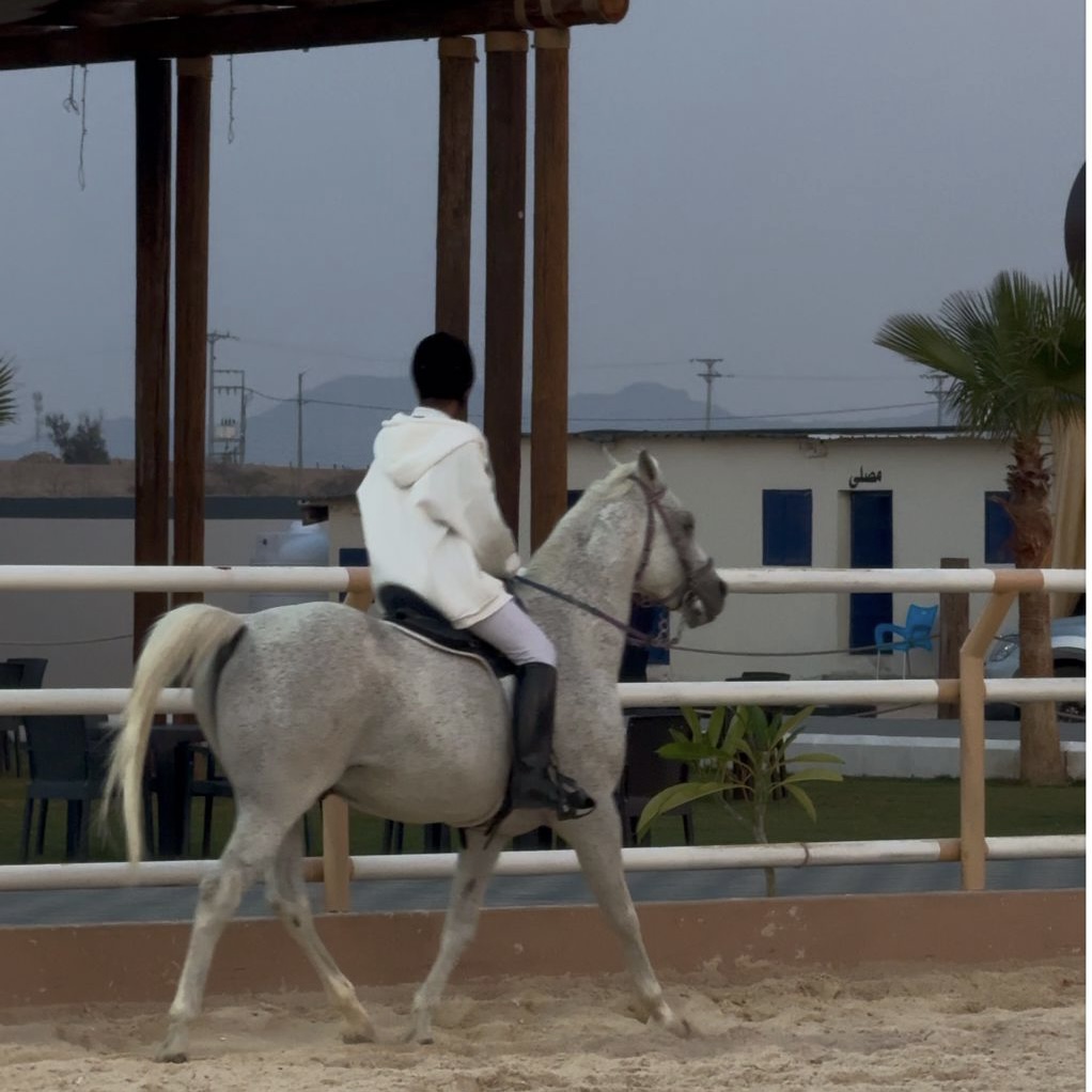ركوب الخيل